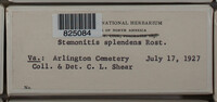 Image Associated With the Occurence